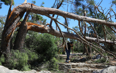 Nevrijeme na Marjanu, ilustracija