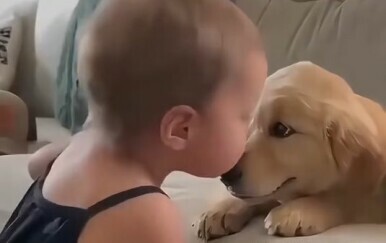 Bebe i psi nerazdvojna su kombinacija, pogledajte samo ove slatkiše
