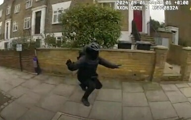 Uhićenje uličnog lopova