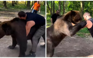 Poznati boksač hrvao se s medvjedom, pogledajte kako je prošao