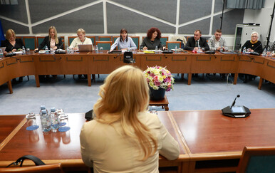 Sjednica saborskog odbora za obitelj, mlade i sport