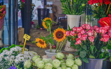 Cvjećarnica, ilustracija