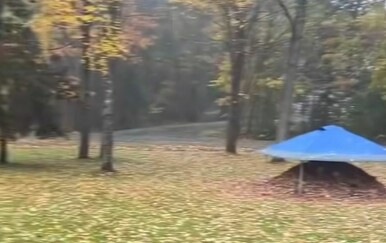 Izašao iz kuće kako bi spasio pse od pljuska, dočekalo ga preslatko iznenađenje