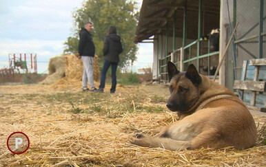 PROVJERENO Poljoprivrednik pobijedio državu: Na sudu dokazao da na natječaju nije trebao ostati bez zemljišta