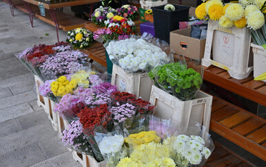 Ilustracija; Cvijeće na tržnici