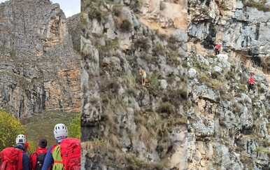 Spašavanje psa sa stijene - 10