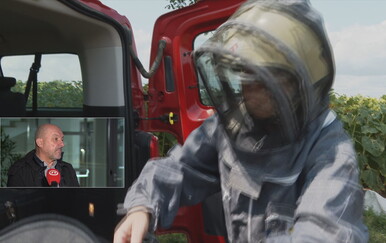 Gnijezda stršljena u dimnjaku - velika opasnost - 2