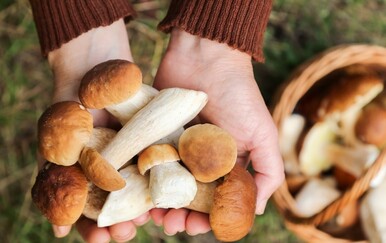 Što napraviti s viškom gljiva: Trikovi uz pomoć kojih traju mjesecima