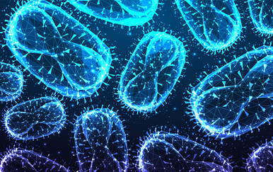 Virus se širi Europom: Lokalni prijenos otkriven u nekoliko zemalja