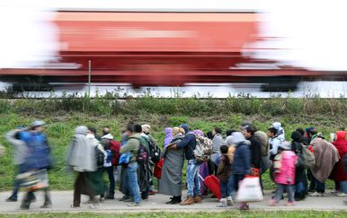 Migranti u Sloveniji (Foto: AFP)