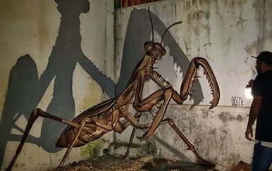 Grafiti (Foto: Instagram/odeith)