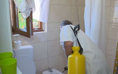Tvrtke za dezinfekciju uklanjanju žohare (Foto: Dnevnik.hr)