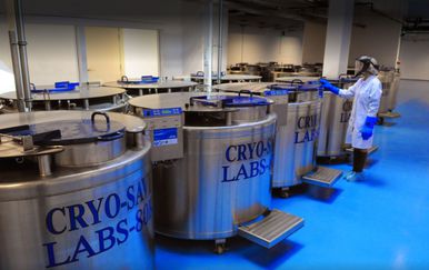 Laboratorij Cryo-Save (Foto: Cryo-Save)