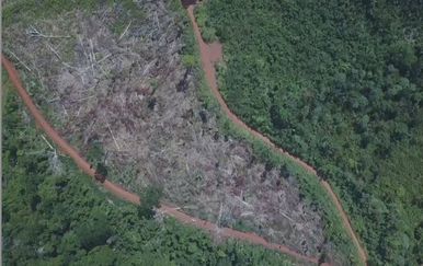 Spaljivanje Amazonske prašume (Foto: Dnevnik.hr) - 1