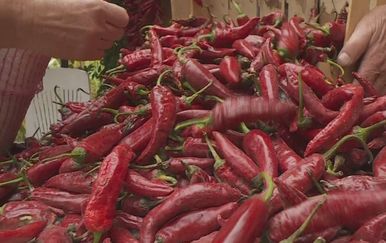 Crvena paprika (Foto: Dnevnik.hr)