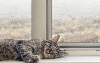 Zašto nam se spava kad pada kiša?