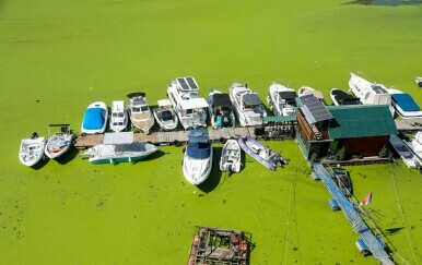 Rijeka Sava u Beogradu promijenila boju - potpuno je zelena - 1