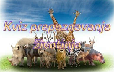 Razne životinje u prirodi i natpis Kviz prepoznavanja životinja