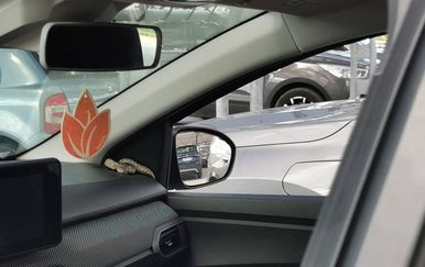 Zmija u automobilu u Bujama