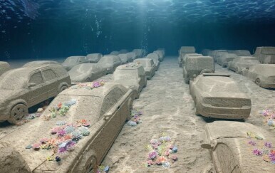Concrete Coral Leandra Erlicha od morskog kamena