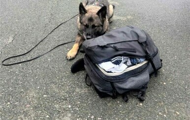 Policijska zapljena na A6 - 1