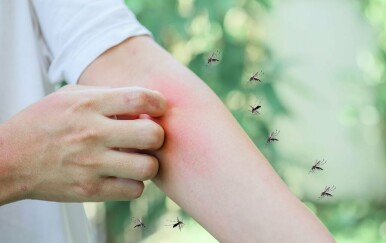 Koju krvnu grupu komarci najviše vole?