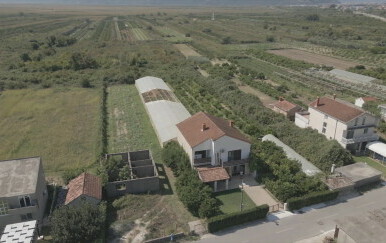 Uginula stoka kod Opuzena - 3