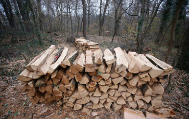 Drveni trupci, ilustracija