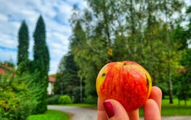 Dan šljiva i Dan jabuka: Vikend okusa i priča u Gorskom kotaru
