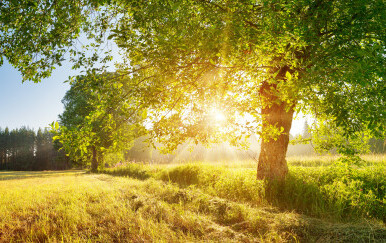 Ilustracija; Vremenska prognoza