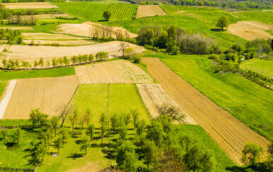 Kako se piše: Grubišno polje ili Grubišno Polje