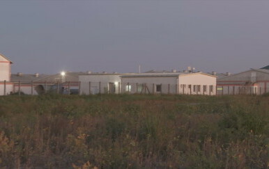 Hrvatska pred najvećom eutanazijom svinja - 4