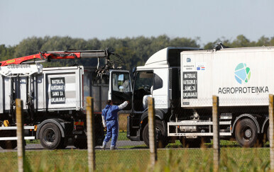 Eutanazija svinja na farmi u Sokolovcu - 1
