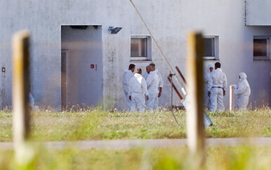 Eutanazija, farma Sokolovac