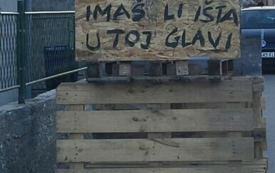 Dalmatinci bez dlake na jeziku: Poslali upozorenje vozačima i pogodili u sridu