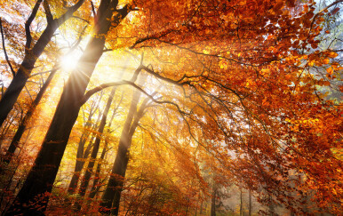 Kako se piše: jesenski ili jesenji