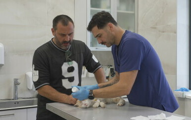 In Magazin: Milan Marić - 4