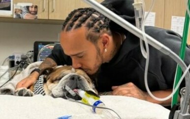 Lewis Hamilton sa psom - 1