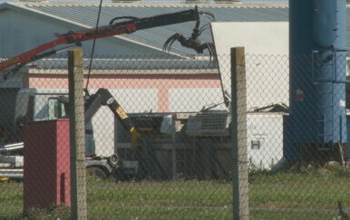 Eutanazija svinja zbog afričke svinjske kuge - 4