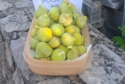 Košara puna smokvi u Malinskoj