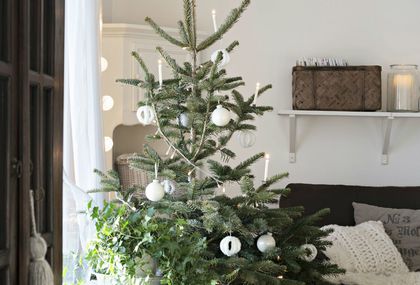 Novi trend božićnih drvaca - 6