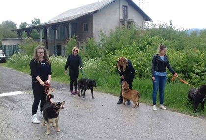 Učenici i djelatnici Srednje škole Delnice u šetnji sa štićenicima azila