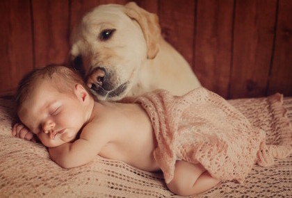 Beba i pas