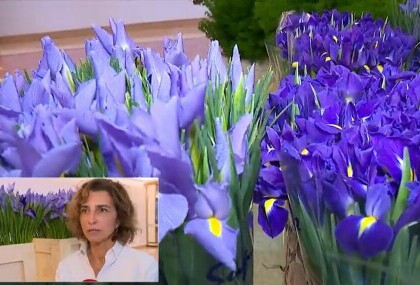 Arhitektica i floristica Boška Bahtijarević