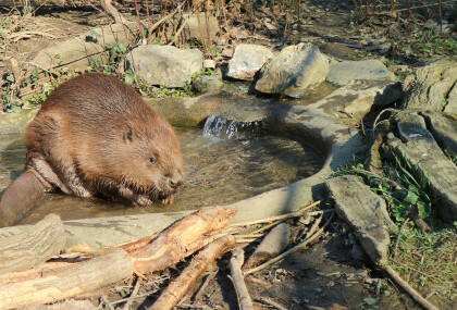 Do kraja veljače u zagrebačkom zoo vrtu održavat će se Egzotične subote - 1