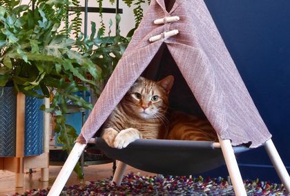 Šator za mace - 4