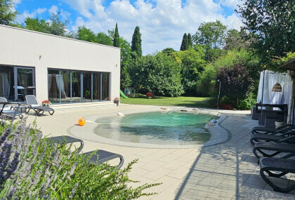 Villa Franka u Nedešćini u Istri ima bazen prirodnog izgleda i cvjetnu aleju s preko 150 biljaka - 15