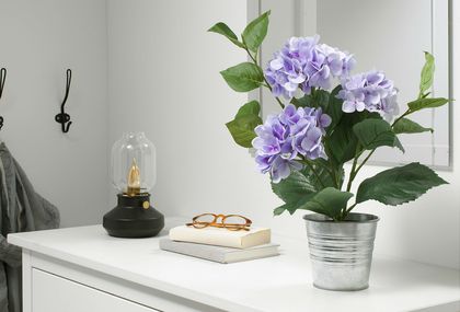 Fejka lila hortenzija može biti savršeni ukras za dom