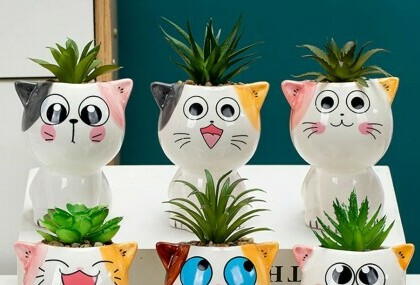 Vaze za sukulente u obliku mace