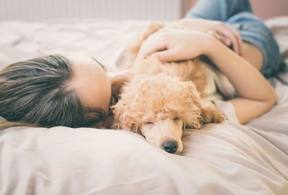Psi imaju pozitivan učinak na kvalitetu sna